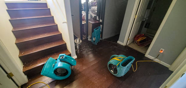 Best Flood damage cleanup  in Leisure Village East, NJ