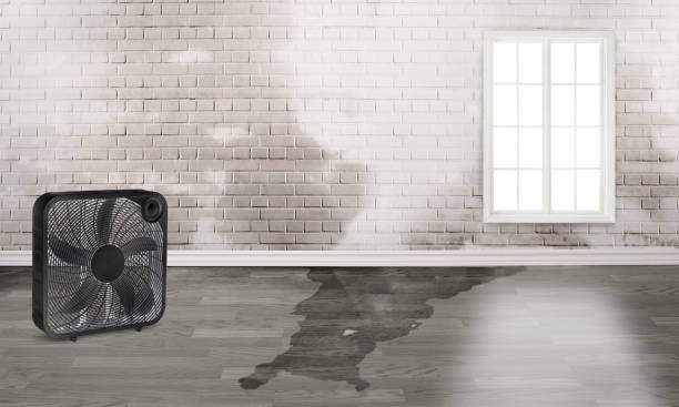 Best Sewage cleanup and water damage restoration  in Leisure Village East, NJ