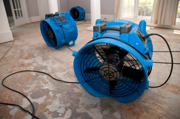 Best Basement water damage restoration  in Leisure Village East, NJ
