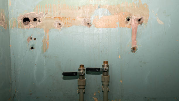 Best Water damage cleanup near me  in Leisure Village East, NJ