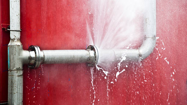 Best Ceiling water damage repair  in Leisure Village East, NJ